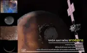 นักวิทย์พัฒนา AI จำแนกเสียงเห่าหมาบ่งบอกอารมณ์ได้แม่นยำ