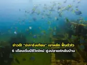 ทำความรู้จัก 'นกกางเขนดง' นกน้อยเสียงไพเราะแห่งป่าไทย