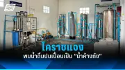 เตือนภัย! อาหารแปรรูปเสี่ยงโรคอ้วนและมะเร็ง งานวิจัยชี้ชัด