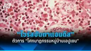 สหรัฐฯ ยกระดับเตือนภัยการเดินทางทั่วโลก หวั่นกลุ่มก่อการร้ายโจมตี