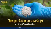 วิกฤตช่องแคบฮอร์มุซกระทบปุ๋ยเคมีอาเซียน ภาคเกษตรเสี่ยง
