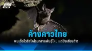 เตือนภัย! อาหารเช้าซีเรียลอาจมีสารเคมีอันตรายปนเปื้อน