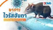 ไวรัสฮันตา โรคจากหนูสู่คน อาการคล้ายไข้หวัดใหญ่ เสียชีวิตสูง ยังไม่มีวัคซีน