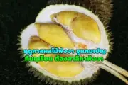เที่ยวพิพิธภัณฑ์ในกรุงเทพ เปิดประสบการณ์ใหม่น่าเที่ยว