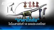 สาวโพสต์เตือนภัยหลังถูกหลอกซื้อทองผ่านเฟซบุ๊ก เสียหายเกือบแสนบาท
