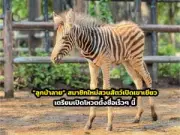เปิดตำนานวัดศรีชุม จ.สุโขทัย ความเชื่อเรื่องพญานาคและพระพุทธรูปใหญ่