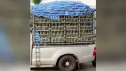 ขนส่งฯ เตือนดัดแปลงกระบะผิดกฎหมาย เสี่ยงอันตราย