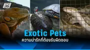 เกิดไฟไหม้โรงงานพลาสติกในสมุทรปราการ เจ้าหน้าที่เร่งควบคุม