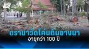 วิกฤตหนี้ครัวเรือนไทยพุ่งสูงเป็นประวัติการณ์