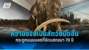 จีนจับมืออาเซียนกระชับความร่วมมือทางเศรษฐกิจ
