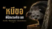 คดีแผ่นพับปลอมป่วนเลือกตั้ง ส.ส. จ่อฟันอาญาหนักผู้เกี่ยวข้อง