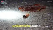 ชายถูกยิงเสียชีวิตคารถกระบะในสวนยางพาราจังหวัดนครศรีธรรมราช