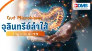 Gut Microbiome จุลินทรีย์ในลำไส้ กุญแจสำคัญเพื่อสุขภาพองค์รวม