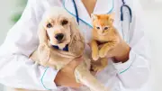 Pet Economy ไทยยุคใหม่ ดูแลสัตว์เลี้ยงถึงระดับเซลล์ ลงทุนเพื่อชีวิตระยะยาว