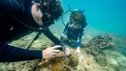 Rolex ปักหมุดอ่าวไทย เปิดองค์กร Coral Gardeners ต้นแบบอนุรักษ์ปะการัง
