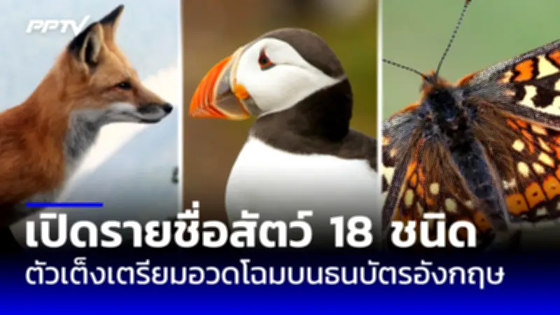 กูเกิลเลิกจ้างพนักงาน 12,000 คนทั่วโลก สะท้อนวิกฤตเทคโนโลยี