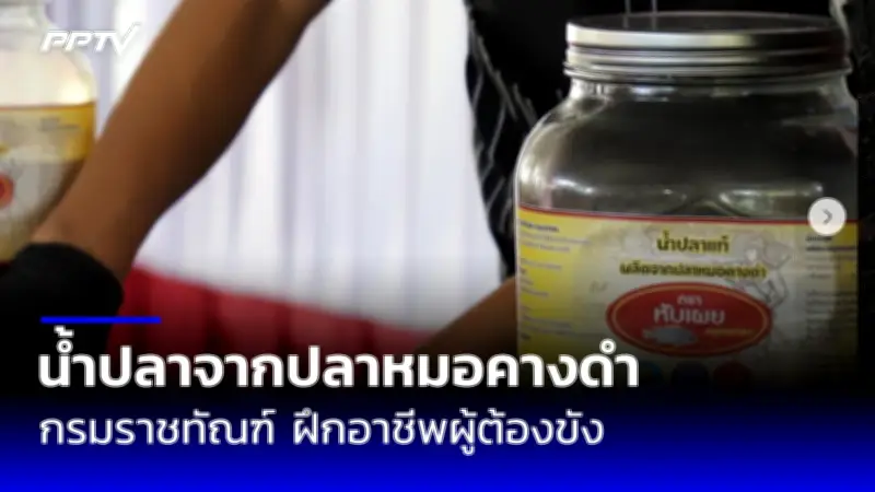 สวนสัตว์เชียงใหม่เตรียมฉลองวันเกิดแพนด้า ‘หลินฮุ่ย’ ครบ 22 ปี