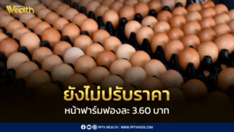ไข่ไก่ราคาทรงตัว 3.60 บาท/ฟอง อุปสงค์-อุปทานเริ่มสมดุลหลังเปิดเทอม