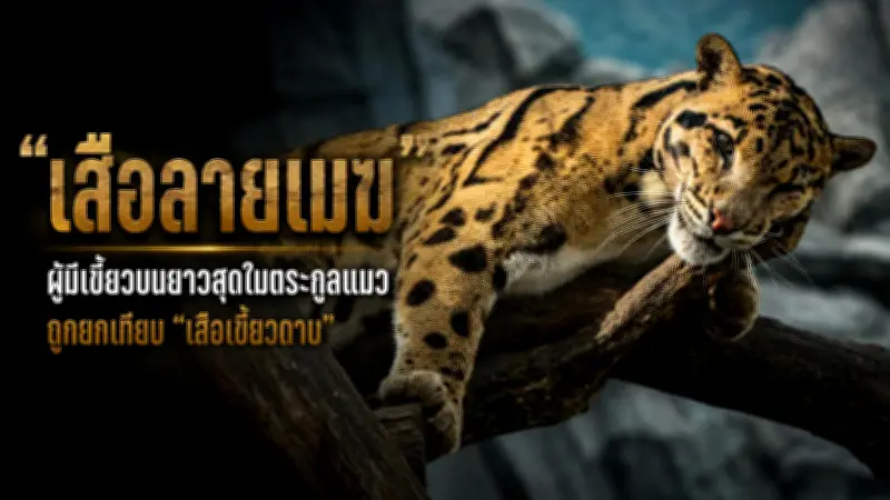 รวม 5 เหตุผลที่ควรมีกองทุนฉุกเฉิน 6 เดือน