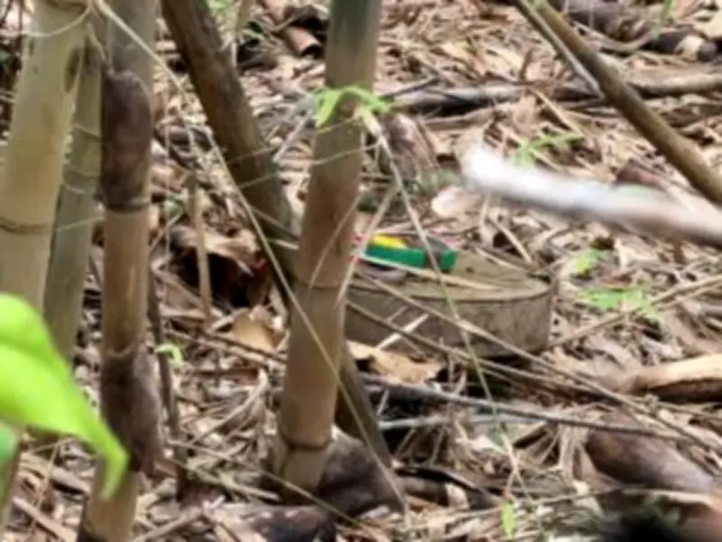หนุ่มใหญ่วัย 52 ถูกจับคาบ้านพัก หลังหลอกขายไอโฟนปลอมทางออนไลน์