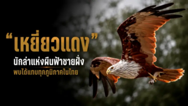 แฮกเกอร์ขโมยข้อมูลจากมือถือผ่านสายชาร์จปลอม เตือนภัยผู้ใช้