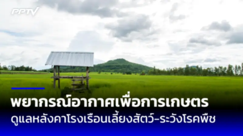 สภาผู้บริโภคยื่นฟ้อง บขส. กรณีปรับขึ้นค่าโดยสารไม่เป็นธรรม