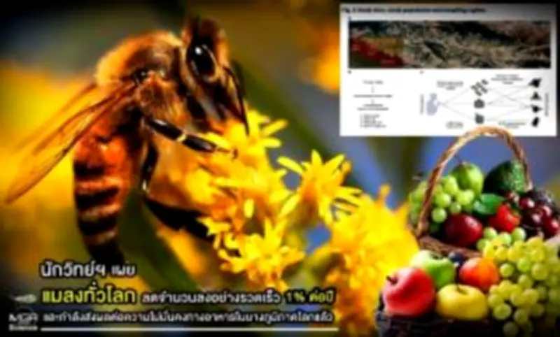 นักวิทย์ค้นพบ 'น้ำแข็งไฟฟ้า' สถานะใหม่ของน้ำที่เกิดจากสนามไฟฟ้าแรงสูง