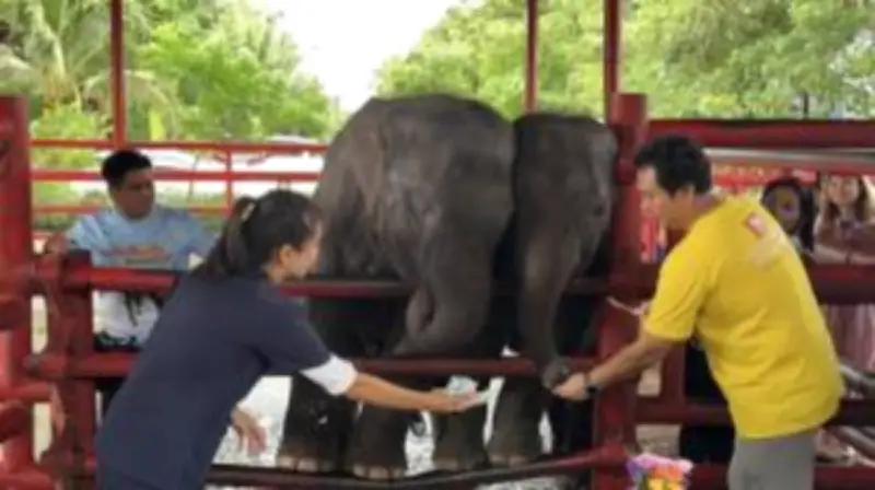 ผู้ว่าฯ ชัยนาท สั่งสอบ อบต.หางน้ำสาคร เอาเปรียบชาวบ้านเก็บเงินค่าสูบน้ำ