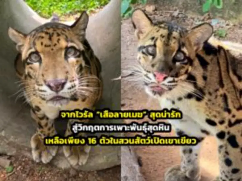 เปิดประสบการณ์ใหม่ เที่ยวทะเลตรัง เกาะสวย น้ำใส ต้อนรับไฮซีซั่น