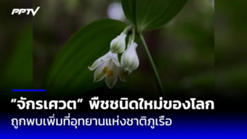 อบจ.ปทุมฯ จับมือ สสส. ขยายพื้นที่เล่นสร้างสุข สู่ชุมชน