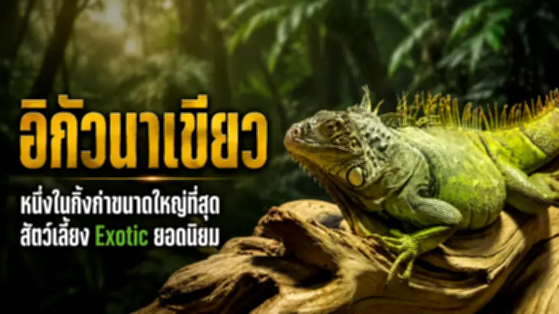 ดร.เสรี เผยแจ้งความเอาผิด ตร.ปมรถหรูจอดขวางทาง 7 วันรู้ผล