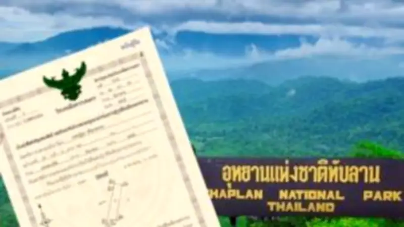 ปิดฉาก 'ข้าวไทย' ยุคทองล่มสลาย ราคาตกต่ำสุดในรอบ 20 ปี
