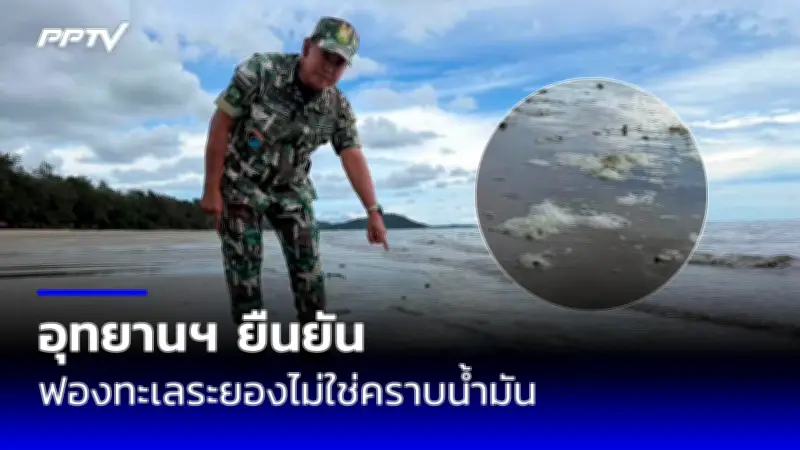 ปชช.นับแสนร่วมงานพระราชพิธีถวายพระเพลิงพระบรมศพ ร.9