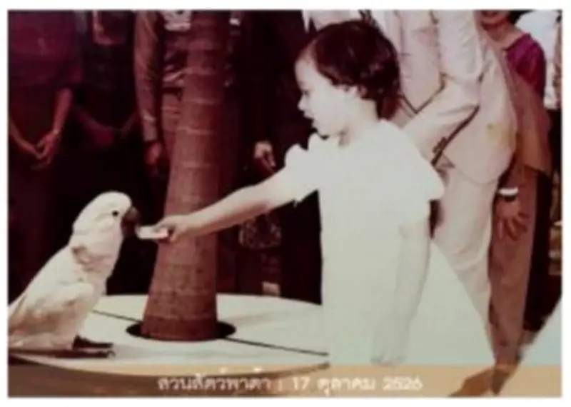 เที่ยวเมืองรองสไตล์โลว์คาร์บอน สัมผัสวิถีชุมชนยั่งยืน