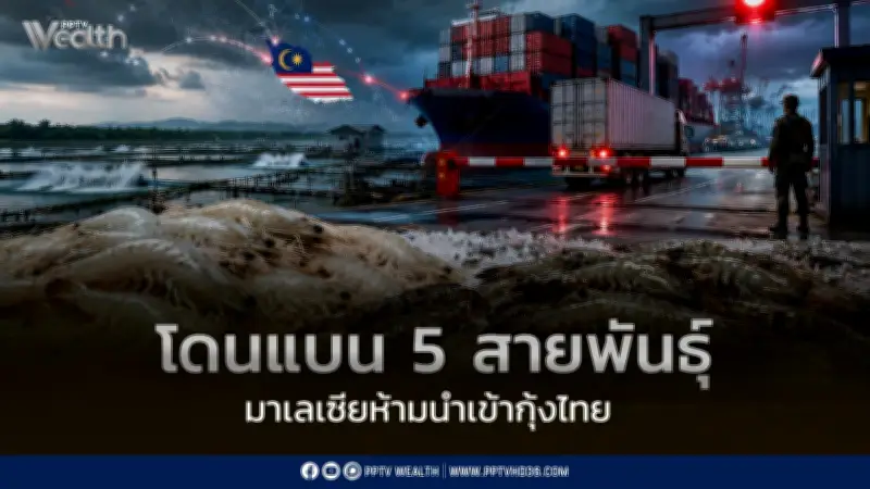มาเลเซียแบนนำเข้ากุ้งไทย 5 สายพันธุ์ชั่วคราว ผลกระทบต่อการส่งออก