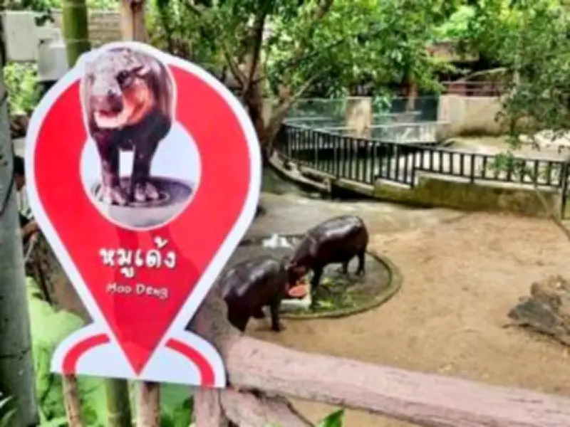 เปิดศูนย์พักพิงชั่วคราวรับมือน้ำทะเลหนุนสูง ระนอง