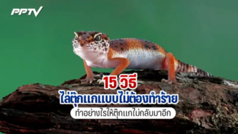 กู้ภัยเร่งค้นหานักท่องเที่ยวจีนพลัดตกน้ำตกแม่สา หลังพบรองเท้า