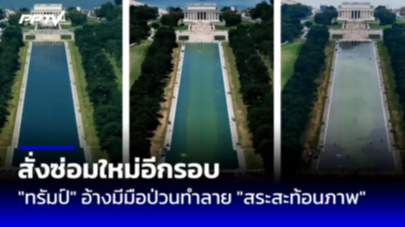 เกาหลีใต้ตั้งคณะกรรมการสอบสวนเหตุเครื่องบินเจจูแอร์ตก พบซากนกและคราบเลือดที่เครื่องยนต์