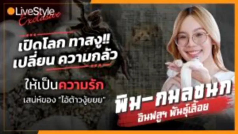 พายุฤดูร้อนพัดถล่มหลายจังหวัด ต้นไม้ล้มทับบ้านเรือนเสียหาย