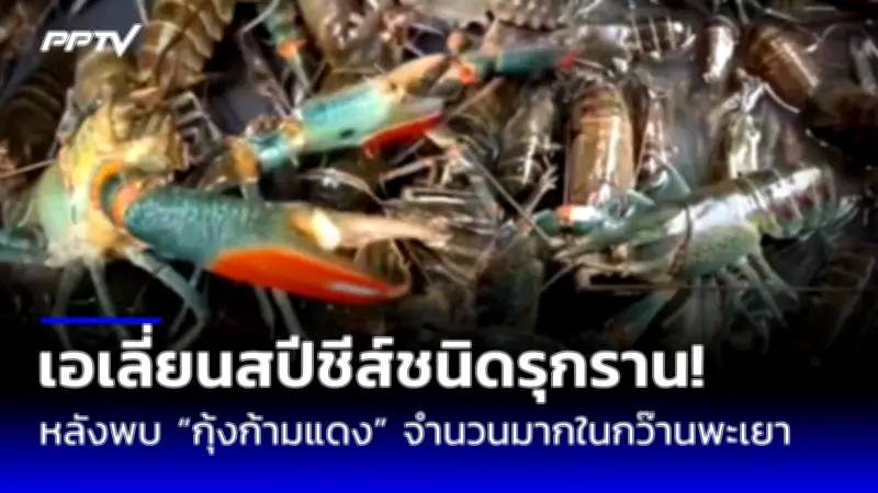 พบศพชายต้องสงสัยคดีลอบสังหารผู้นำฮามาสในโรงแรมไทย
