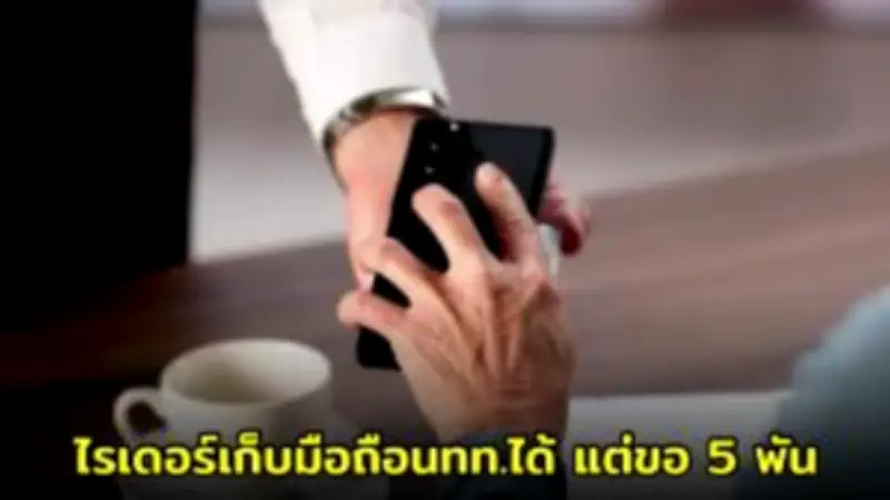 หมอเตือน! อย่าใช้ 'พาราเซตามอล' ยาแก้ปวด ลดไข้ กับ 'แมว' เสี่ยงตาย