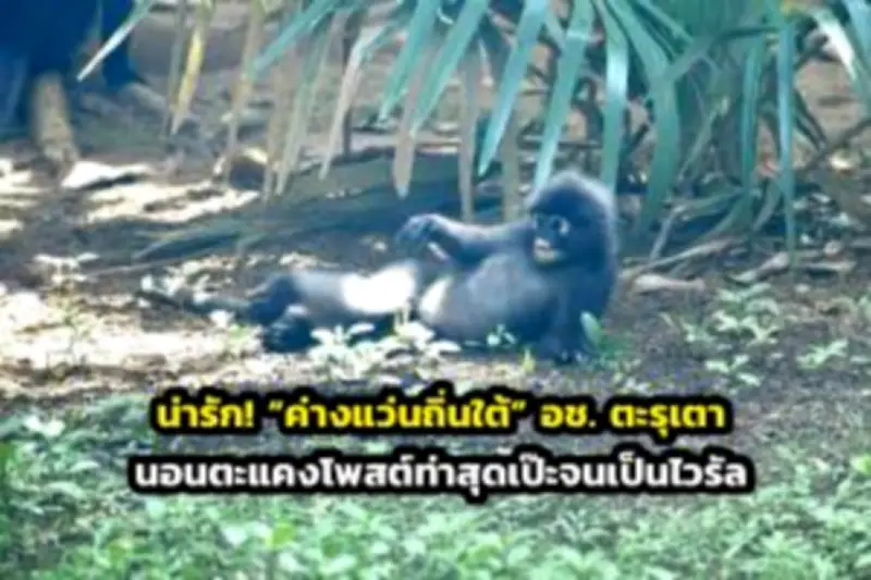 เที่ยววัดพระเชตุพนฯ ชมพระนอนองค์ใหญ่ เรียนรู้มรดกโลก