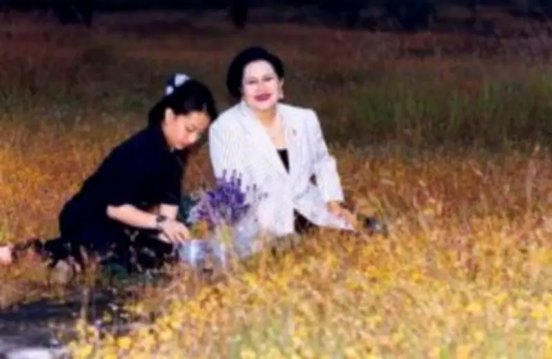 เที่ยวญี่ปุ่นหน้าหนาว 2568 เทศกาลหิมะและน้ำพุร้อนสุดฟิน