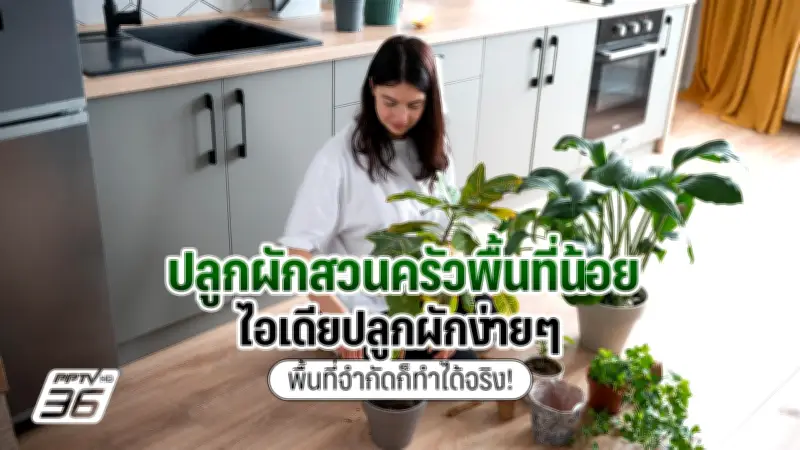 เปิดตัวคอนเซ็ปต์รถบินได้ Xpeng AeroHT ต้นแบบแห่งอนาคต