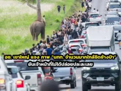 เที่ยวเชียงใหม่ฟินกับ 10 จุดเช็คอินสุดฮิตปี 2569