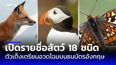 กูเกิลเลิกจ้างพนักงาน 12,000 คนทั่วโลก สะท้อนวิกฤตเทคโนโลยี