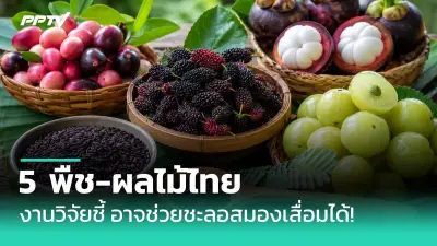 กัญชาทางการแพทย์: ไฟเขียวใช้เพื่อรักษาโรค 17 ชนิด