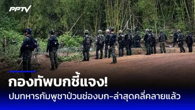 สวนสัตว์เชียงใหม่เปิดให้ชมเสือโคร่งขาว 2 ตัวแรกของไทย