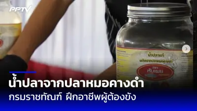 สวนสัตว์เชียงใหม่เตรียมฉลองวันเกิดแพนด้า ‘หลินฮุ่ย’ ครบ 22 ปี