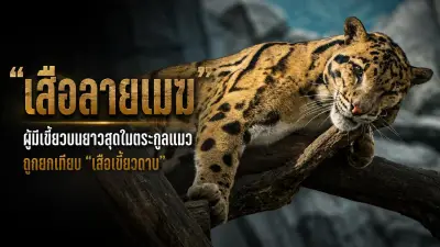รวม 5 เหตุผลที่ควรมีกองทุนฉุกเฉิน 6 เดือน